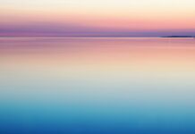 Capsule Networks- A Must Read Comprehensive Guide Capsule Networks