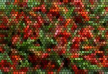 Circular Economy- A Fascinating Comprehensive Guide Circular Economy