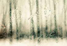 Facial Recognition- A Must Read Comprehensive Guide Facial Recognition