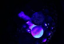 Data-driven marketing