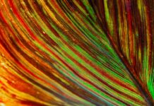 Revenued – Top Ten Things You Need To Know Revenued