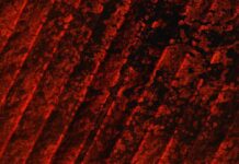 Planetary protection – A Must Read Comprehensive Guide Planetary protection