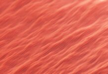 Agile Practices- Top Ten Things You Need To Know Agile Practices