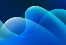 Secure coding practices