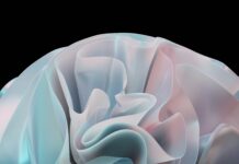 Networking for entrepreneurs- A Must Read Comprehensive Guide Networking for entrepreneurs