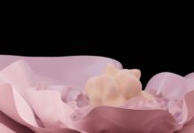 Public speaking for entrepreneurs- A Fascinating Comprehensive Guide Public speaking for entrepreneurs