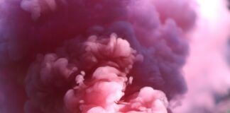 Explainable AI