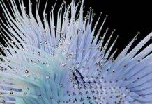 Book publishing for entrepreneurs- A Comprehensive Guide Book publishing for entrepreneurs