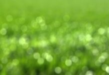 Inventory management for e-commerce businesses