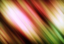 Bexio – A Fascinating Comprehensive Guide Bexio