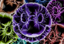 Private equity investor types- Top Ten Things You Need To Know Private equity investor types