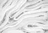 Model Interpretability