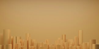 Consumer goods private equity