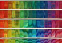 BiglyBT – Top Ten Most Important Things You Need To Know BiglyBT