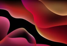 Entrepreneurial leadership- A Comprehensive Guide Entrepreneurial leadership