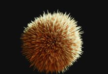 Private equity exit strategies- A Must Read Comprehensive Guide Private equity exit strategies