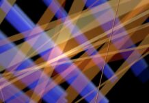 Diricawl- A Fascinating Comprehensive Guide Diricawl