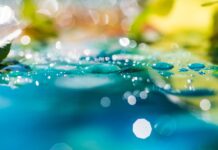 Fliki- Top Ten Most Important Things You Need To Know Fliki