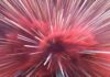 Quantum computing