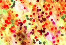 Demiguise- Top Ten Most Important Things You Need To Know Demiguise