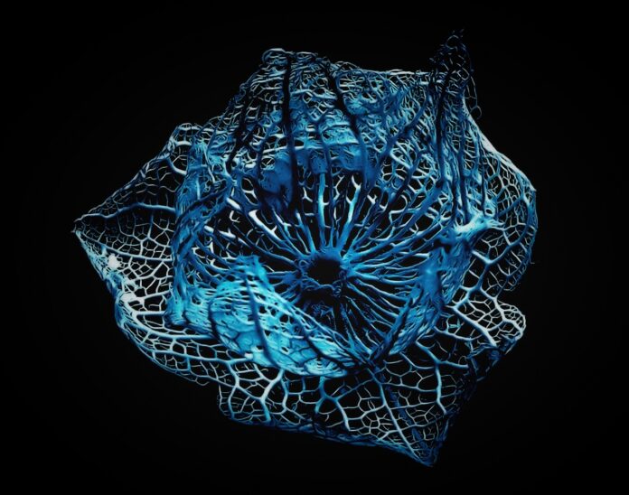 Flowspace