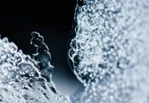 Chatbots- Top Ten Important Things You Need To Know Chatbots