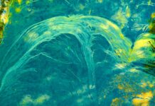 Business pivot- Top Ten Most Important Things You Need To Know Business pivot