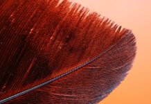 Invoice Home- A Comprehensive Guide Invoice Home