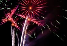 Voice assistants- A Fascinating Comprehensive Guide Voice assistants