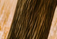 CCPA compliance- Top Ten Most Important Things You Need To Know CCPA compliance