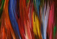 Private equity due diligence- Top Ten Things You Need To Know Private equity due diligence