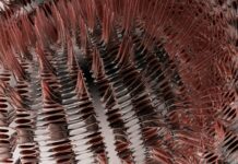 Resemble AI- A Comprehensive Guide Resemble AI