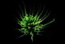 Sentiment analysis – A Comprehensive Guide Sentiment analysis