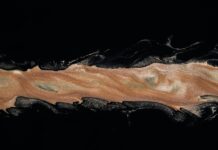 AI in marketing- Top Ten Important Things You Need To Know AI in marketing