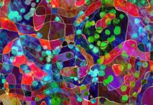 PR for legal industry- Top Ten Most Important Things You Need To Know PR for legal industry