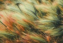 Executive media training- A Fascinating Comprehensive Guide Executive media training