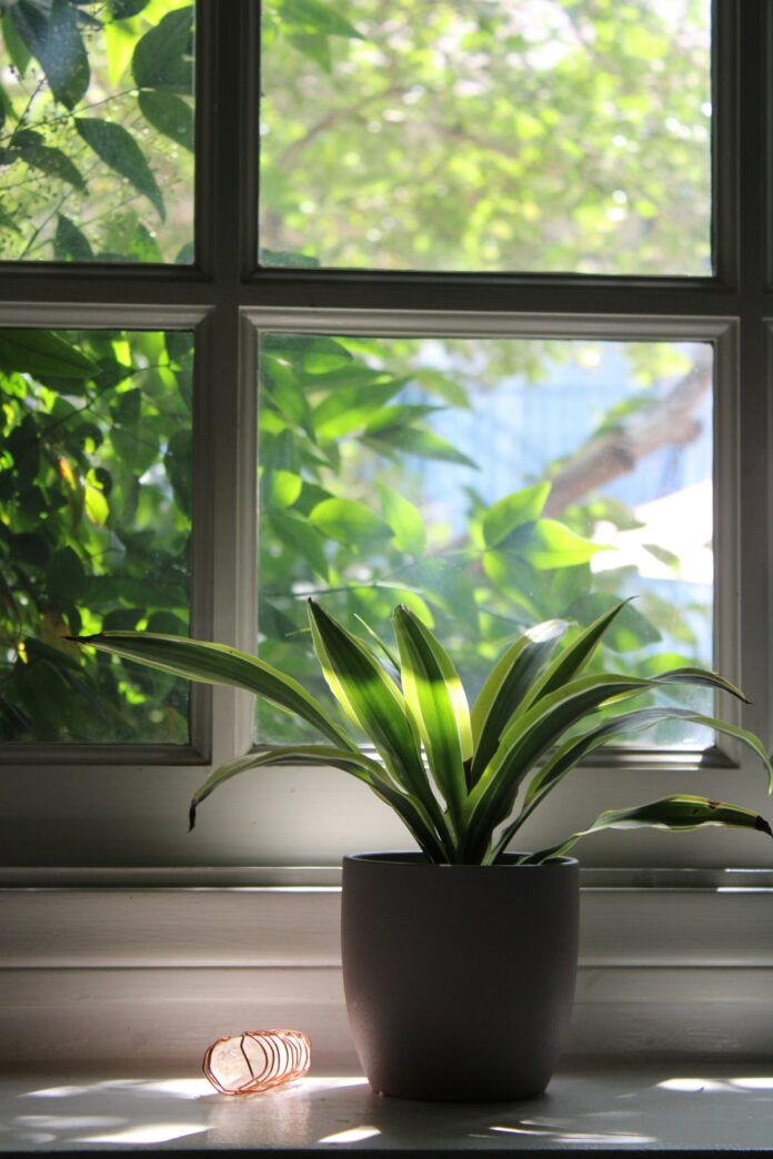 Energy-Efficient Windows
