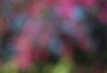 PR partnerships- A Comprehensive Guide PR partnerships