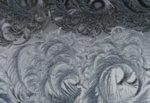 Executive reputation management