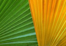 Aftermarket Auto Parts