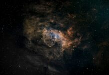 Public Transportation