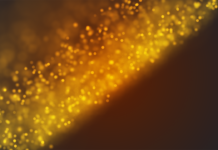 Hardware Development