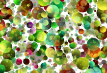 Internet of Things (IoT)