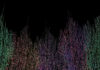 Cognitive Computing in Medicine