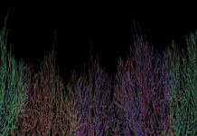 Cognitive Computing in Medicine