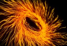 Warehousing Automation