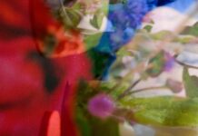 10 Things You Absolutely Need to Know About how AI will change the Diagnostic Imaging Equipment Industry Diagnostic Imaging Equipment