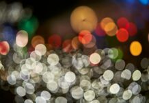 Social Media Platforms