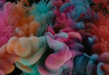 Software Development