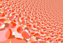 The Top Ten Essentials You Need to Know About AI in the Virtual Health Assistants Virtual Health Assistants